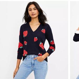 LOFT Navy V-Neck Sweater with Red Accents